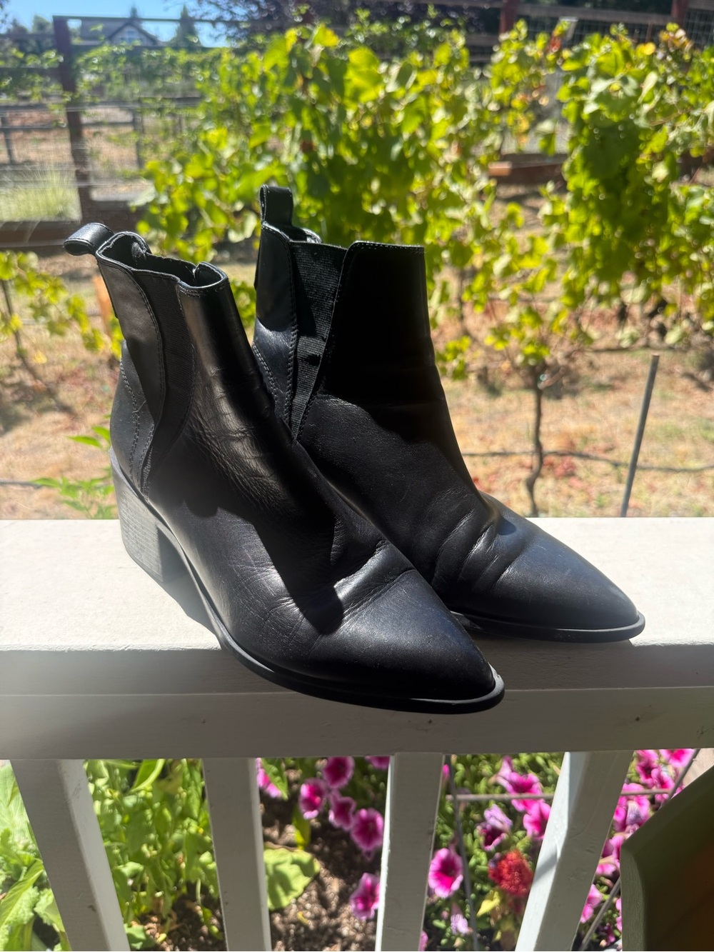 Steve Madden Black Pointed Toe Ankle Boots